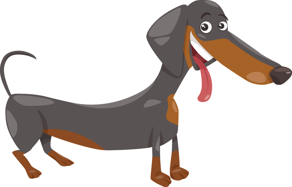 Щенок таксы рисунок