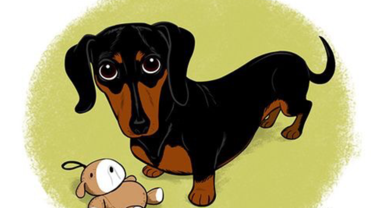 Такса рисунок лицо