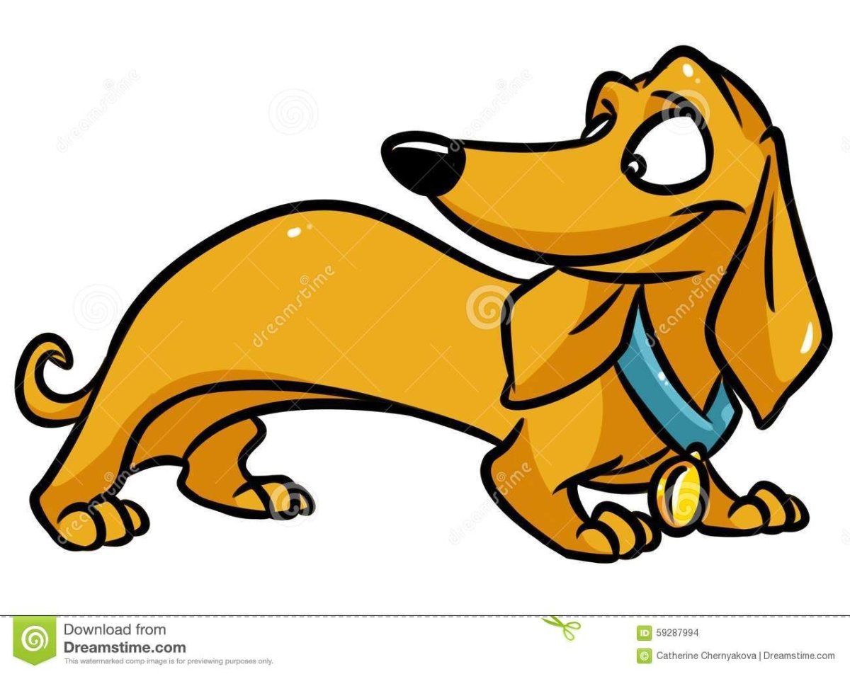 Собака такса арт