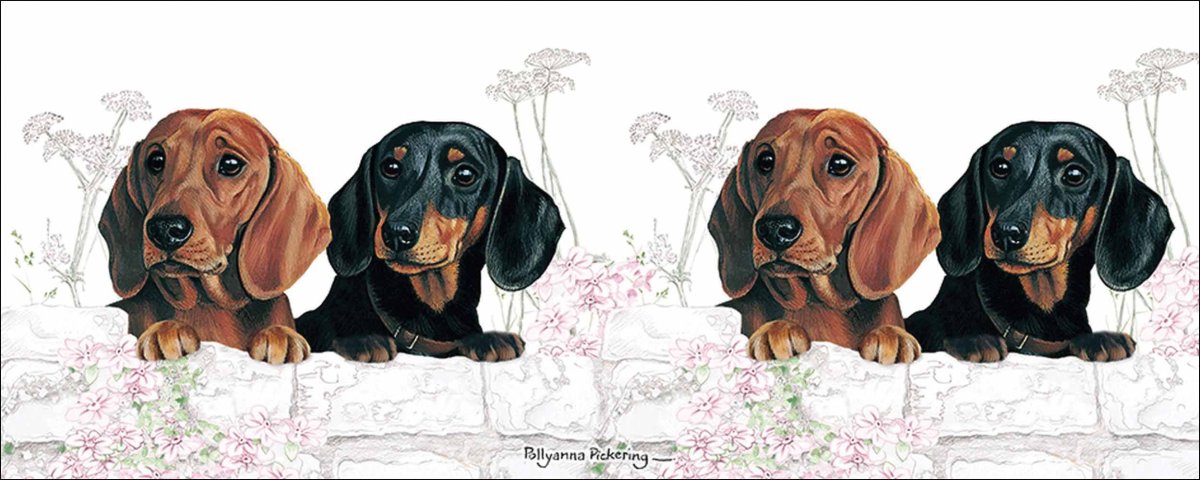 Мультяшные таксы