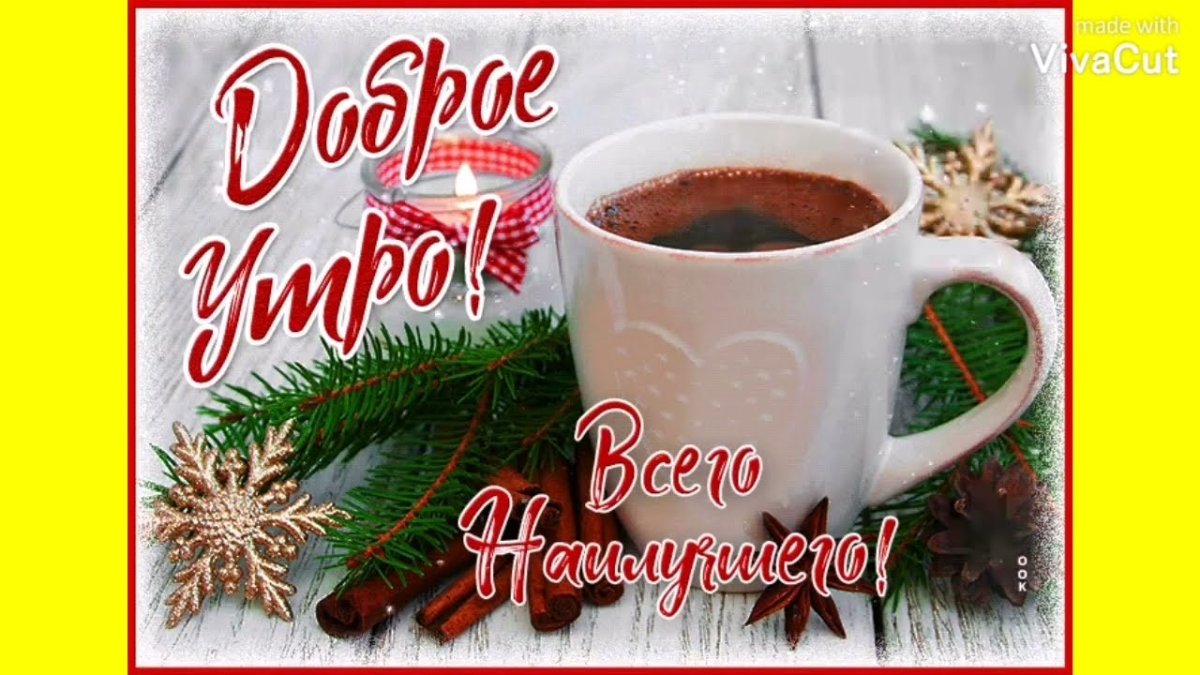 Доброе утро зимние цветы