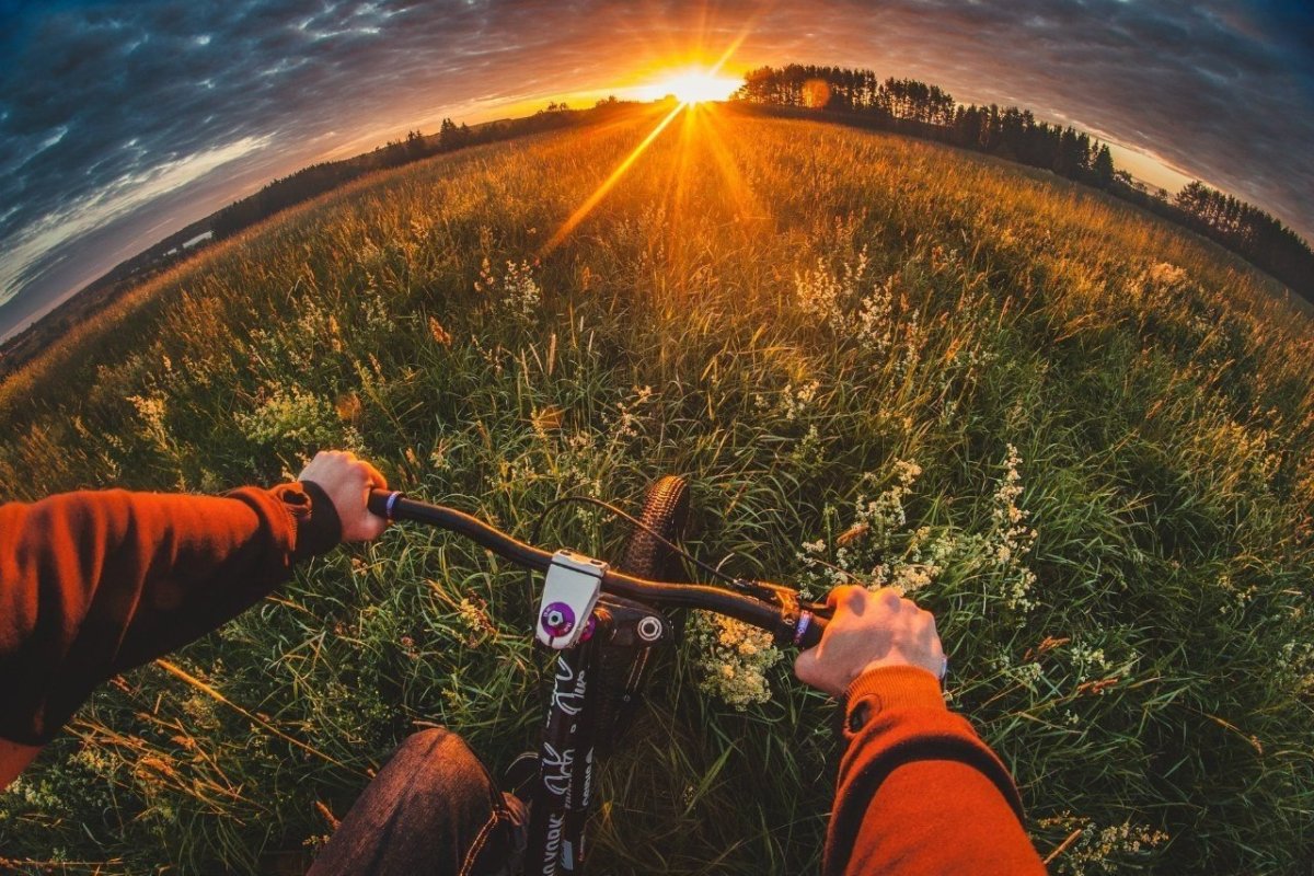 Жизнь природа