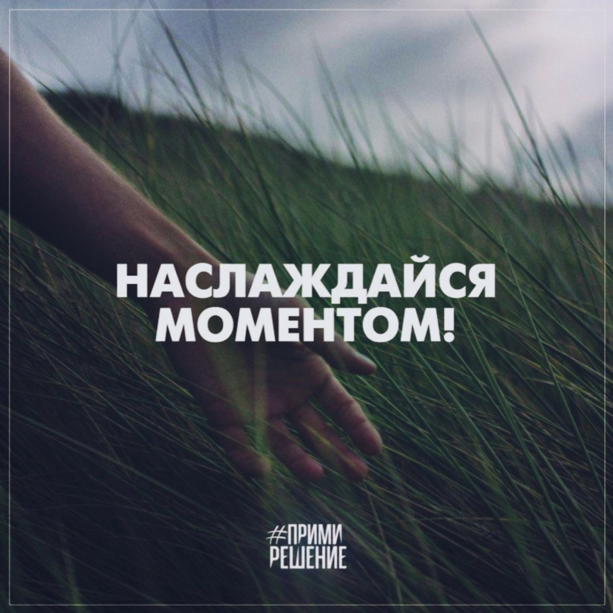 Мотивационные фразы #примирешение