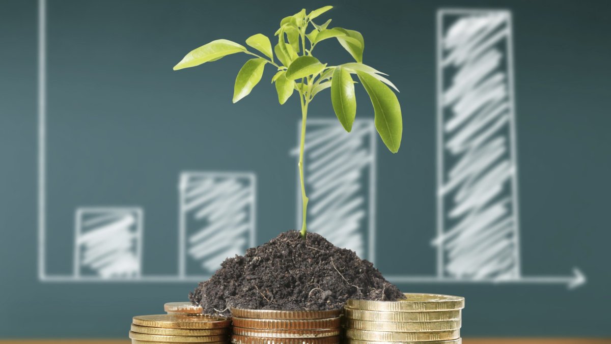 Денежные вложения