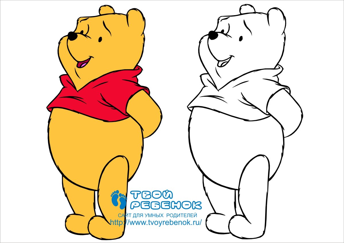 Винни пух раскраска цветная