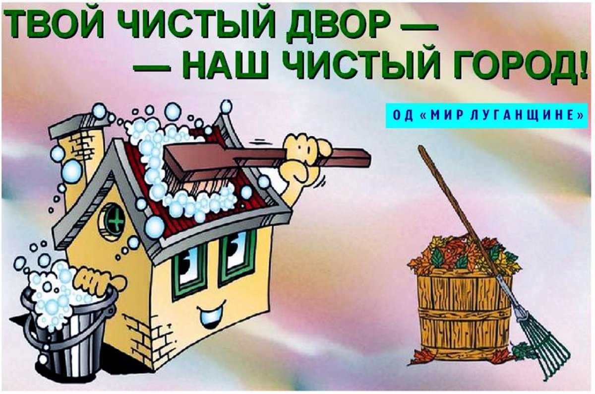 Чистый двор чистый город