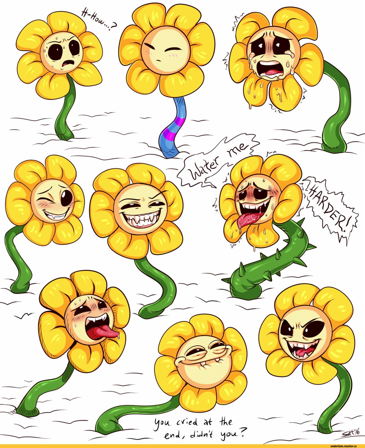 Флауи Эстетика