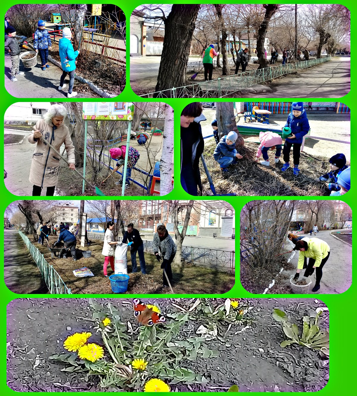 Акция чистый двор