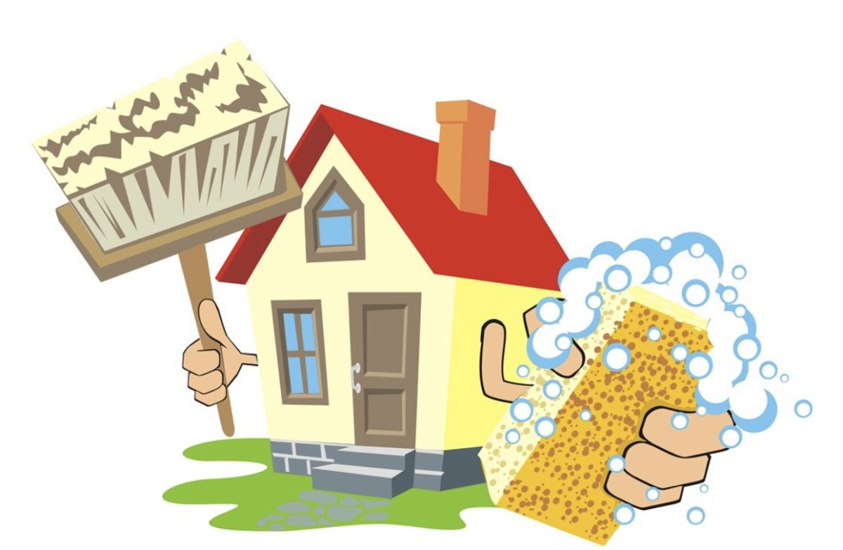 Чистота жилища