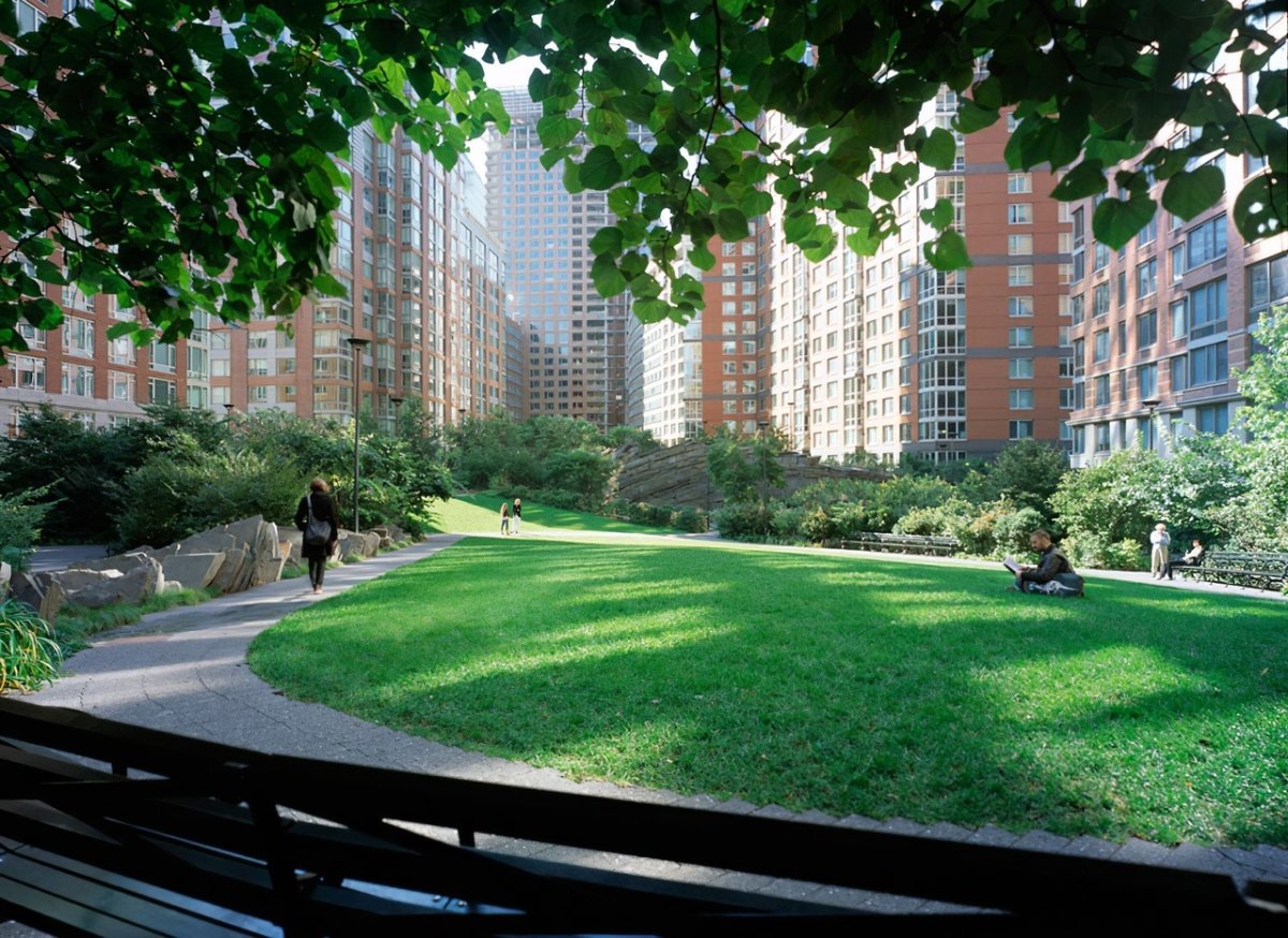 Обыкновенный газон в городе