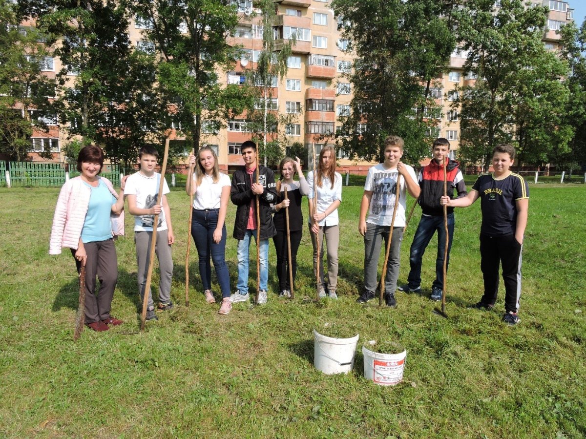 Чистый двор фото