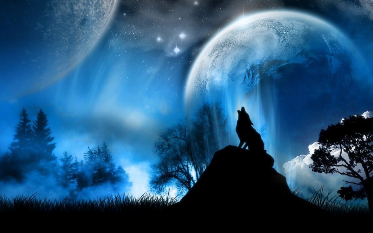 Ичкерия волк воющий на луну