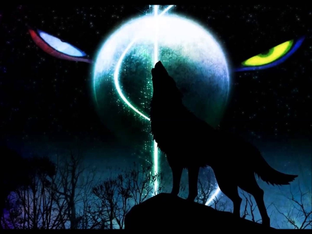 Волк в ночи