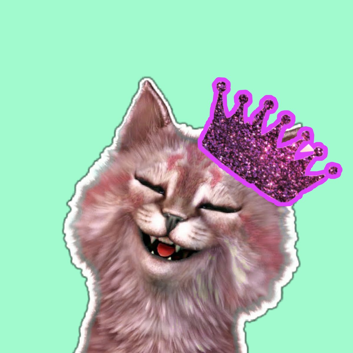 Розовая кошка Лана