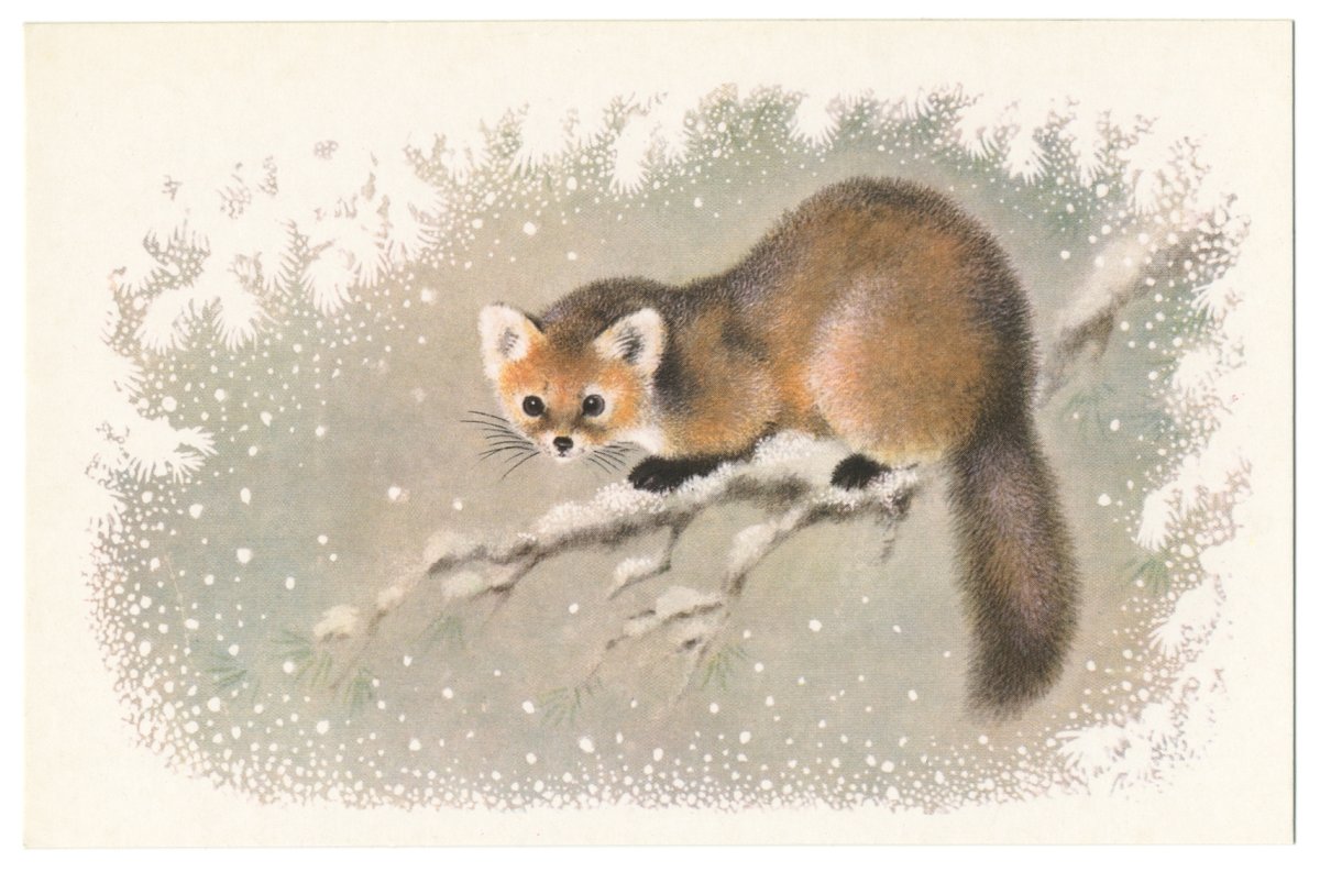 Алексей Исаков художник анималист