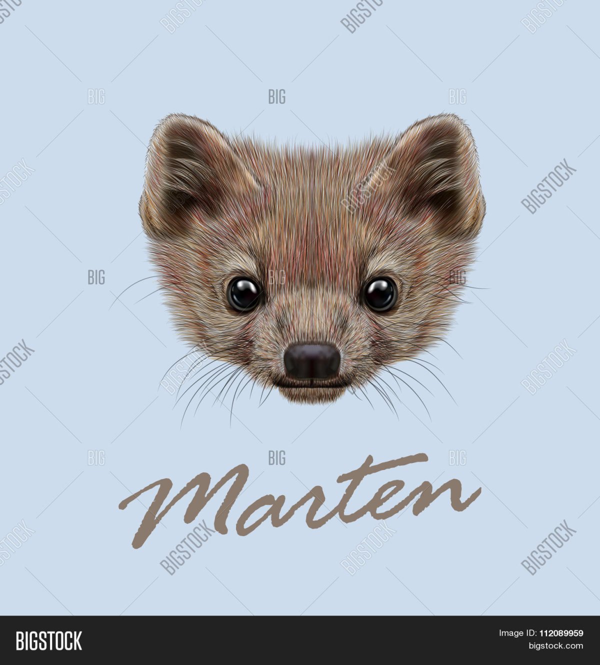 Соболь обитает