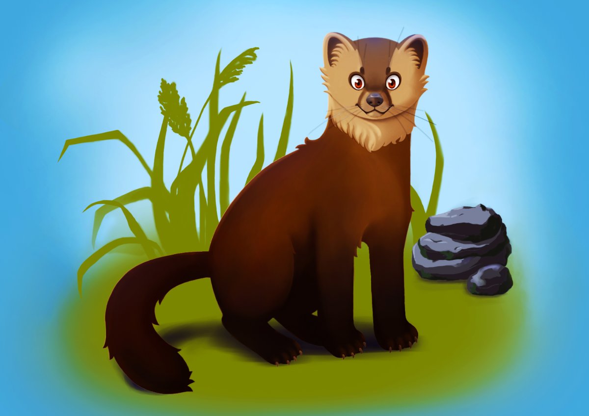 Хорек мультяшка