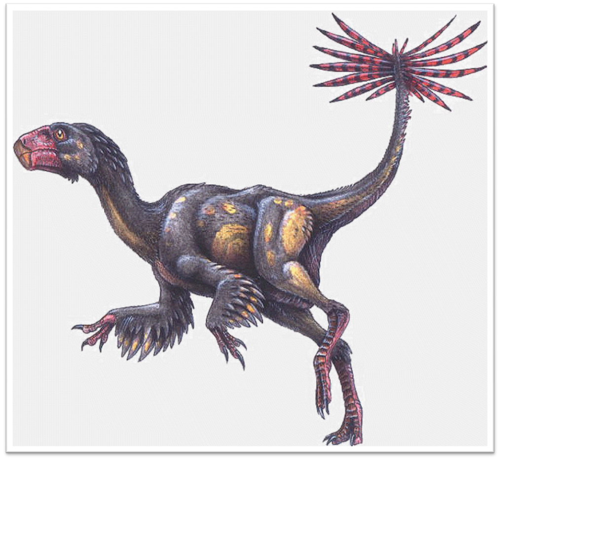 Therizinosaurus cheloniformis
