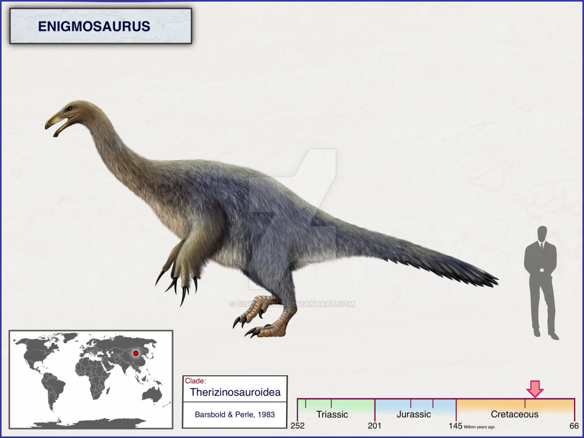 Теризинозавр на белом фоне