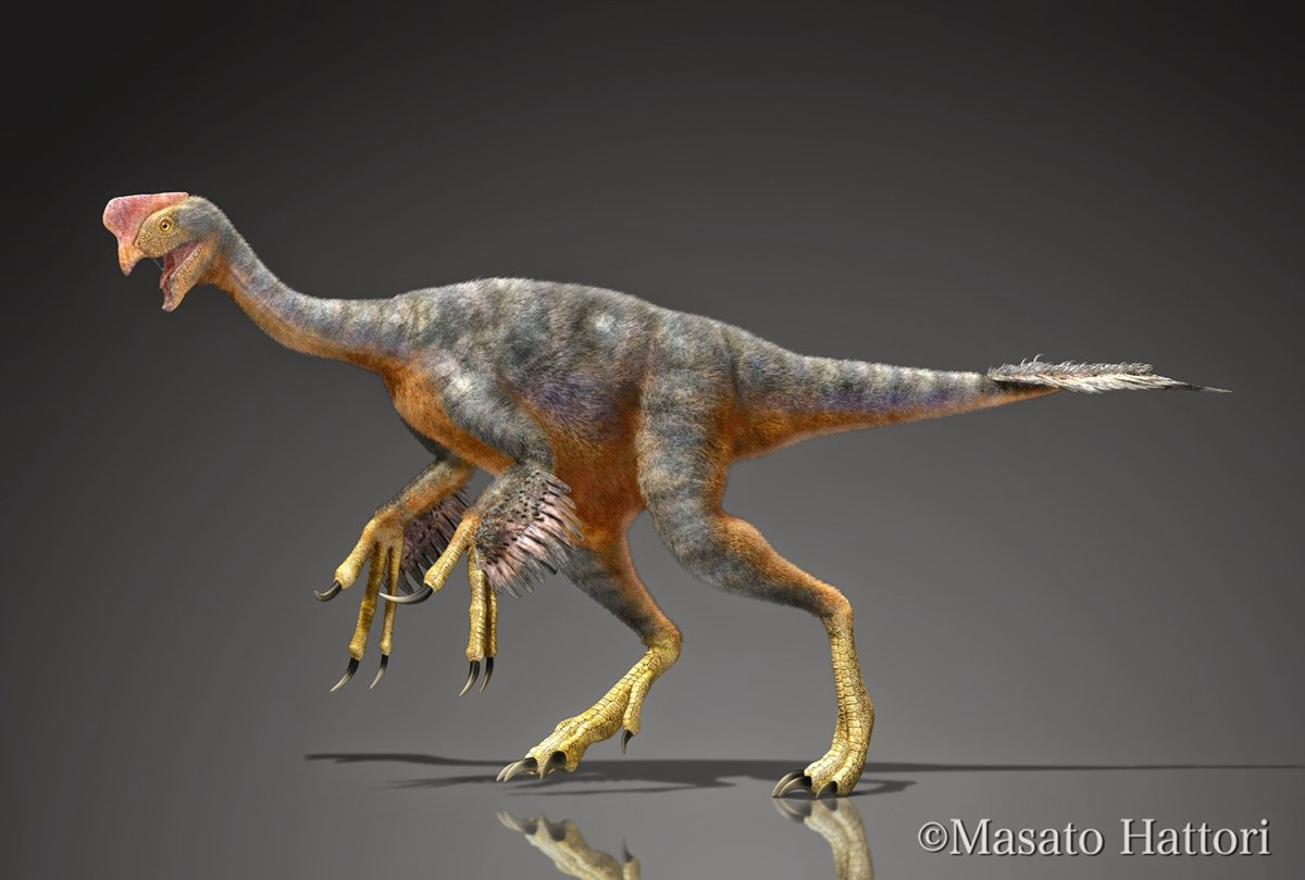 Теризинозавр исл