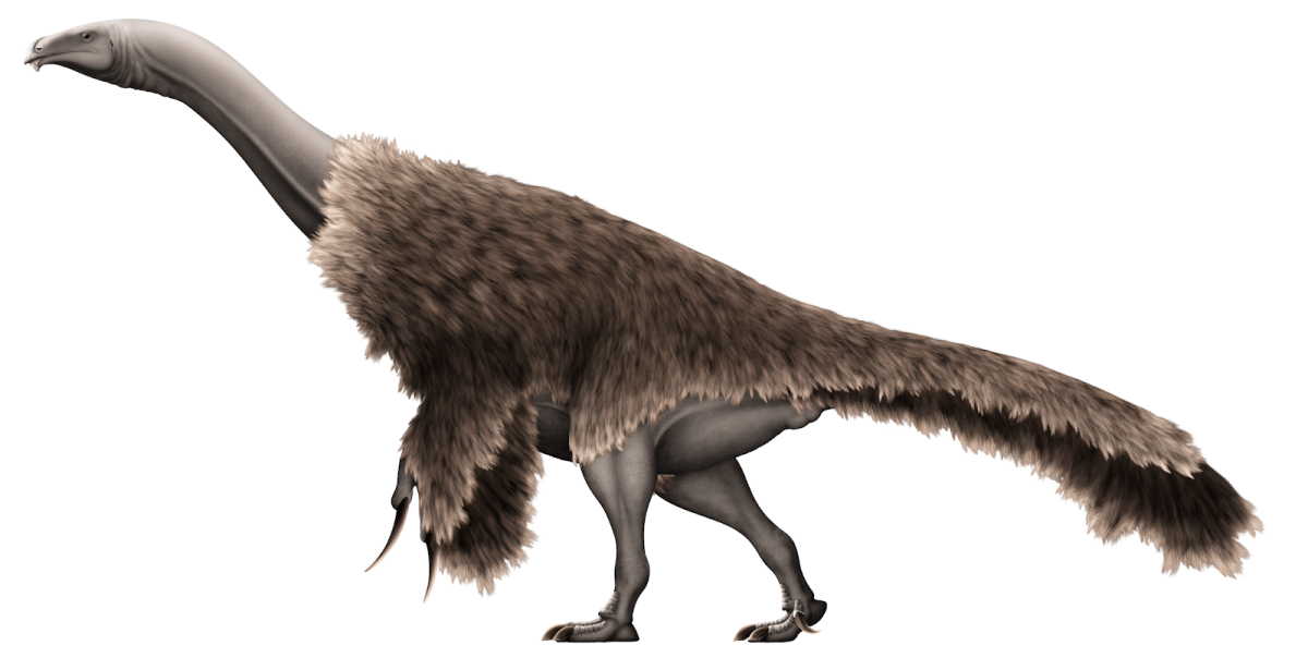 Теризинозавр Размеры