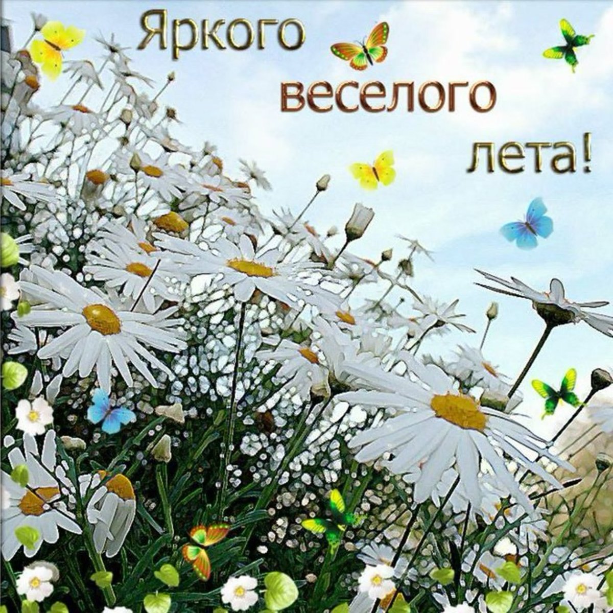 С летом поздравления