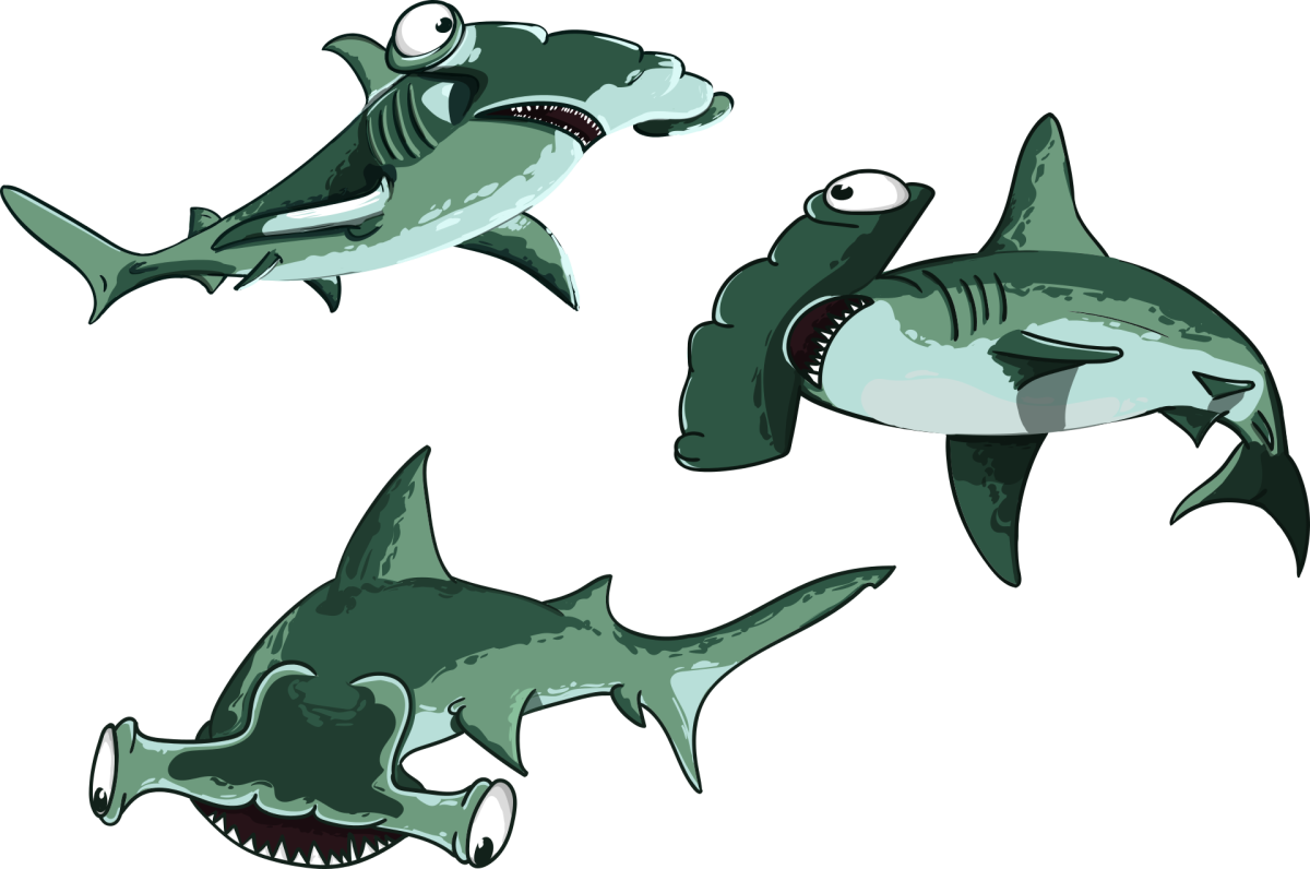 Акула молот для детей