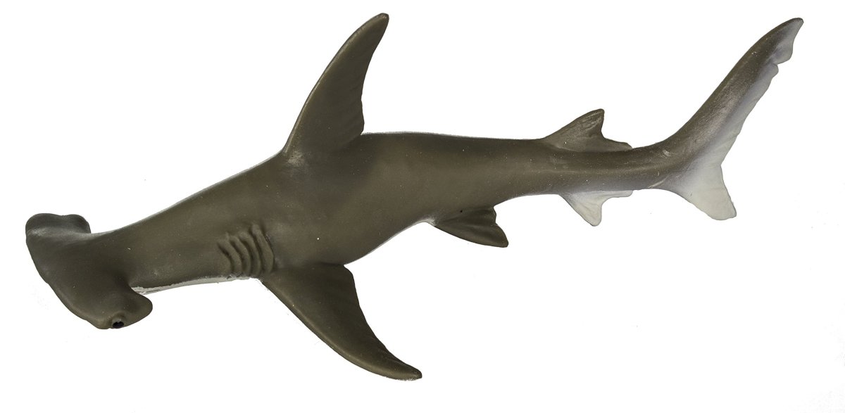 Фигурка Safari Ltd Малоголовая акула-молот 200329