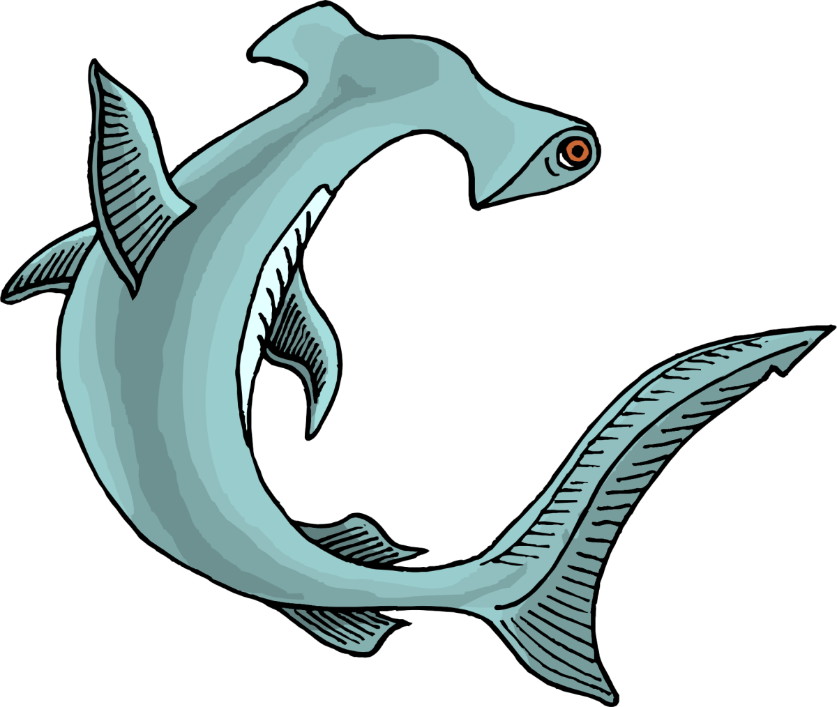 Рыба молот для детей