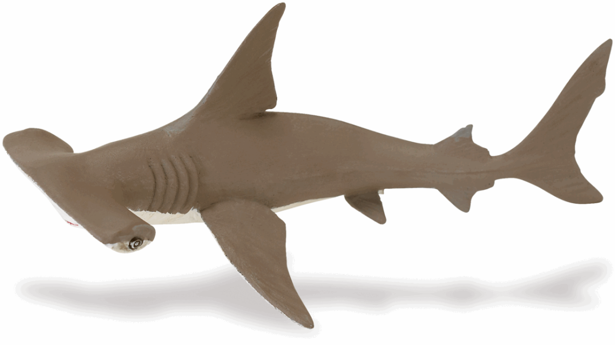 Акула молот для детей