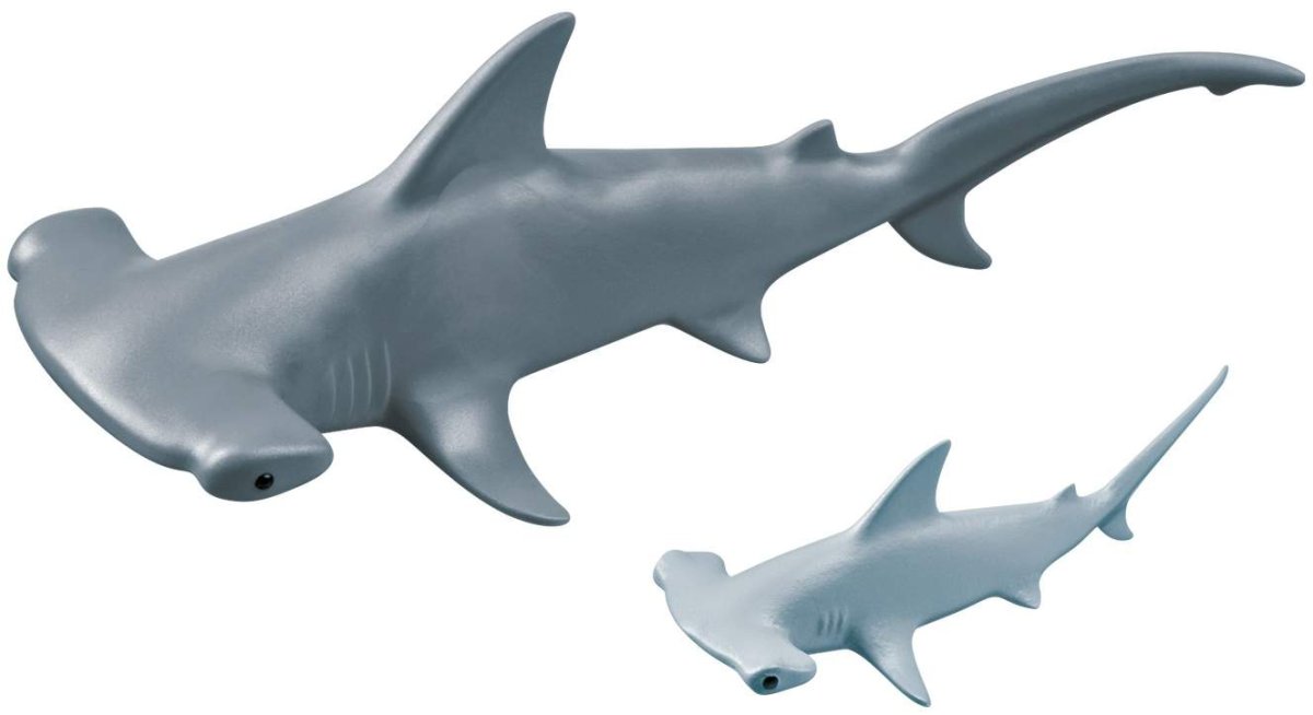 Акула молот рисунок для детей цветной