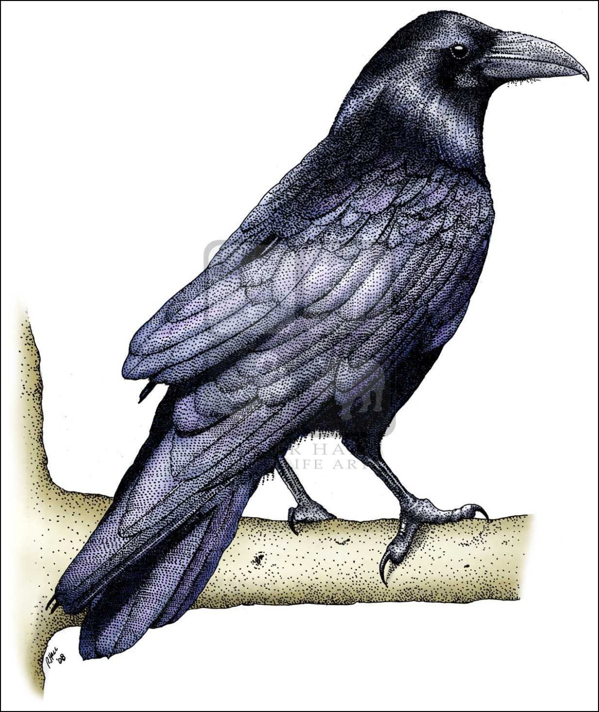 Мультяшная ворона в профиль