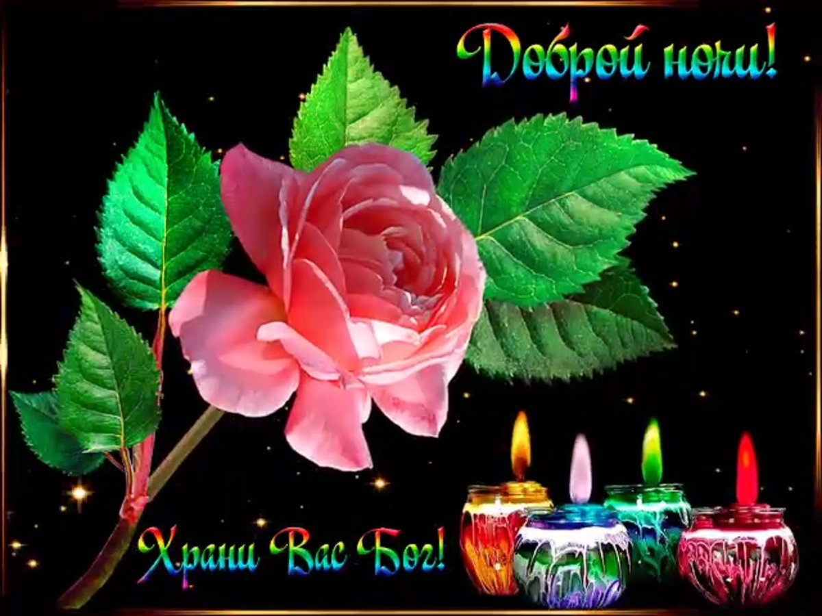 Доброй вам ночи
