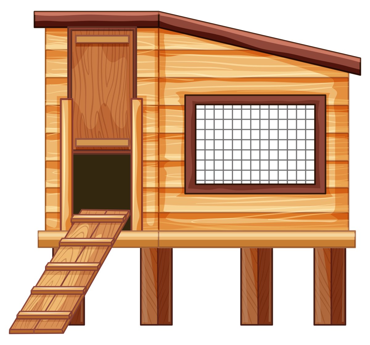 Курятник рисунок