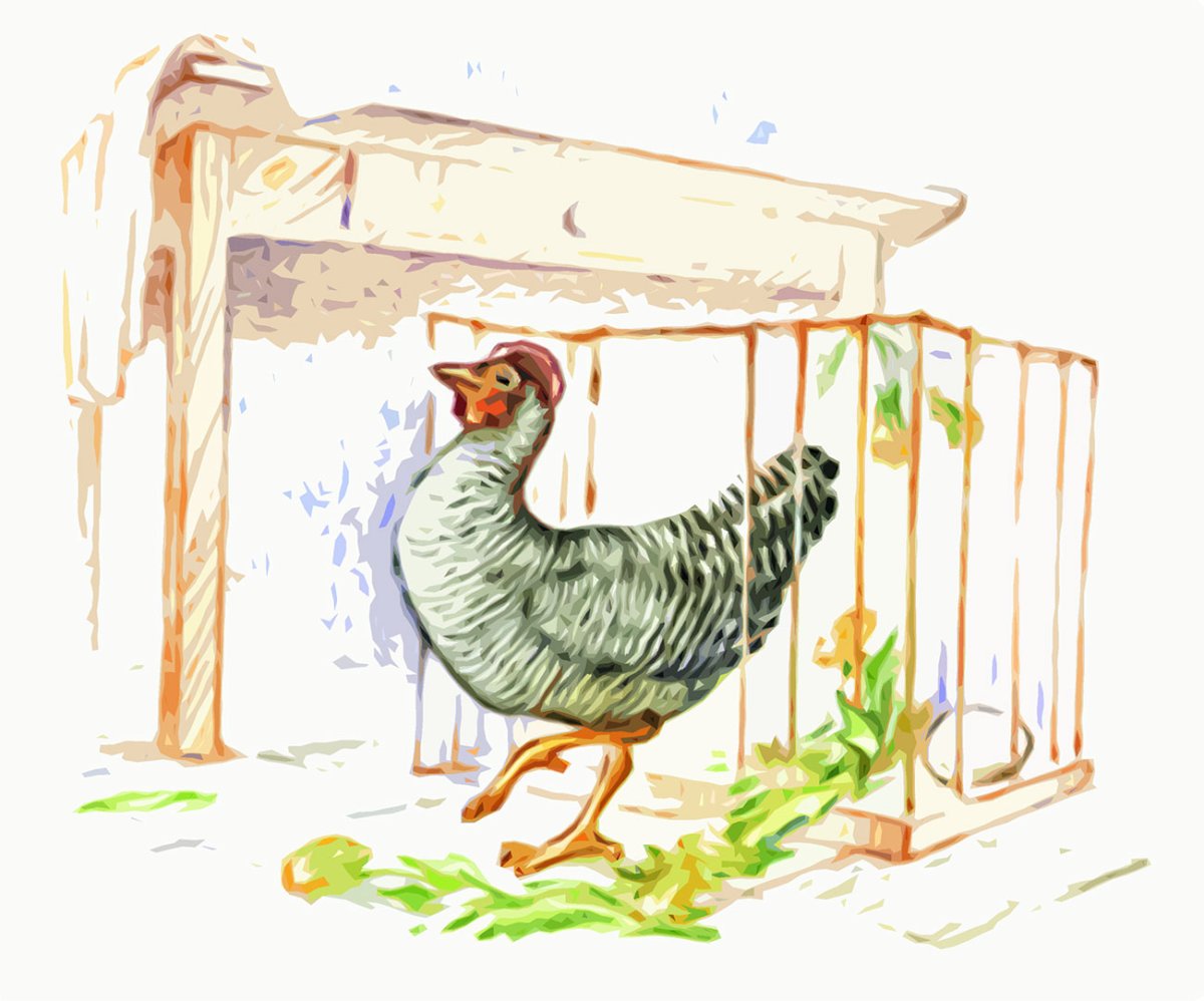 Курятник для детей