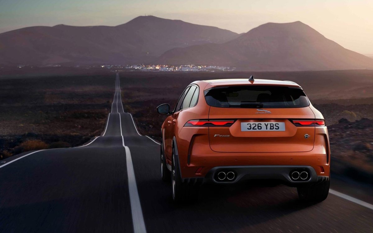 Леопард черно белый