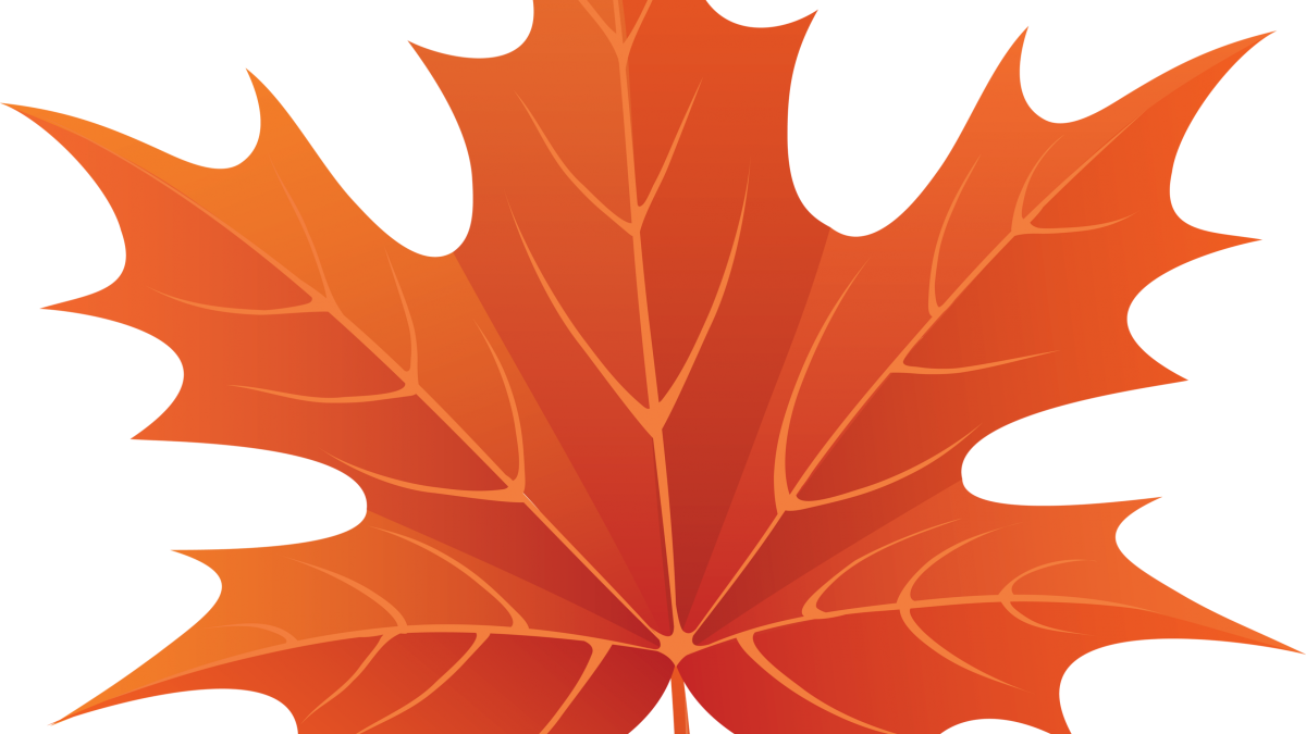 Осенние листья