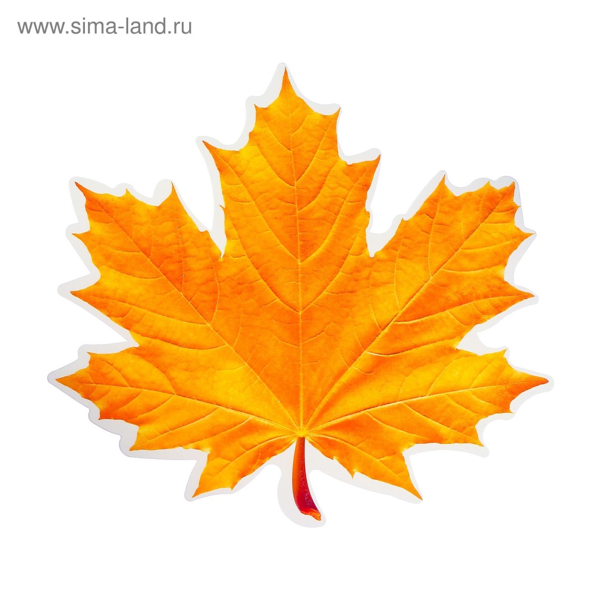 Осенние листья картинки для оформления