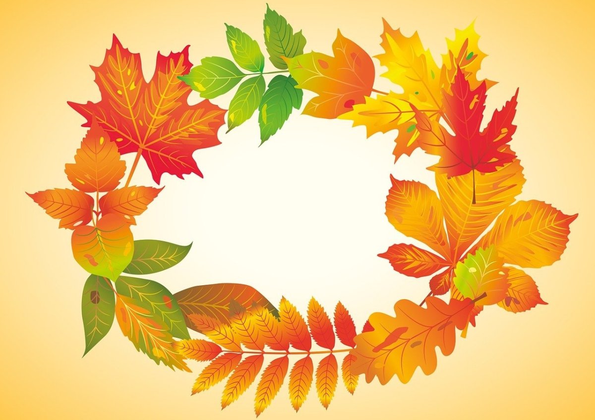 Разноцветные листья на прозрачном фоне