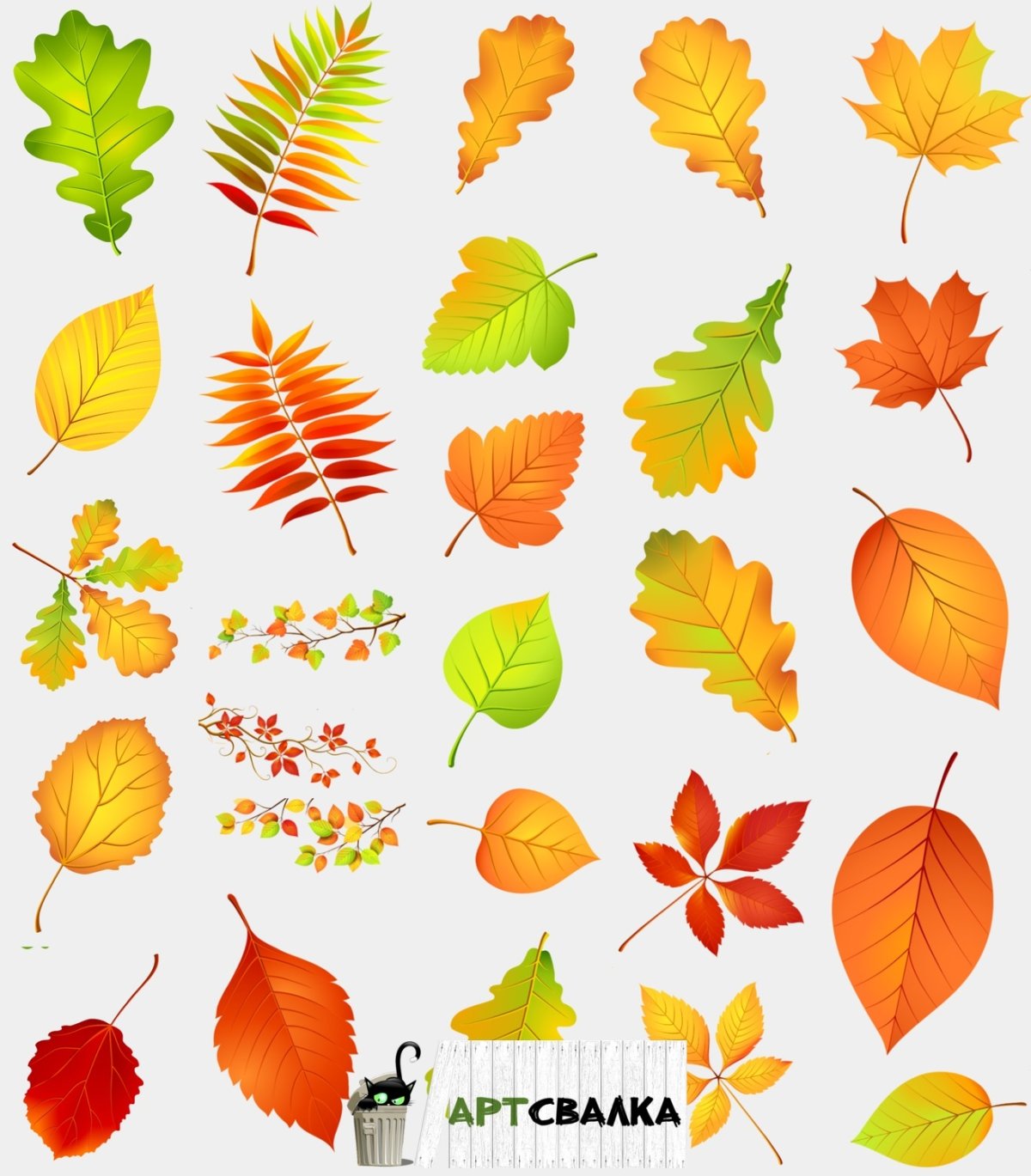 Осенние листья на белом фоне для детей