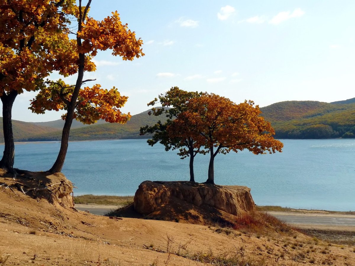 Бухта Восток Приморский край