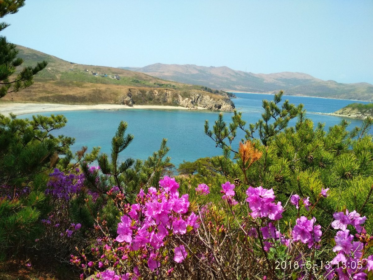 Природа Приморья