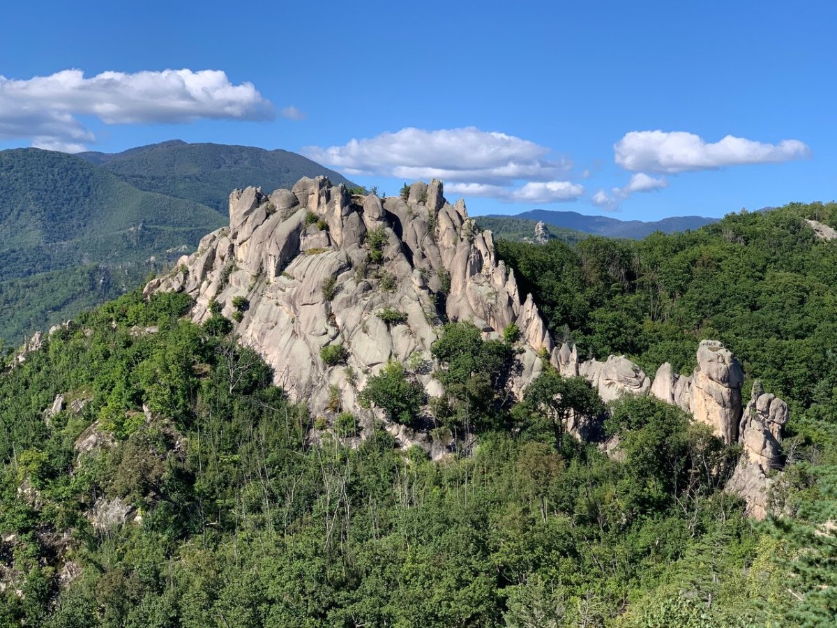 Бухта Ежовая Приморский край