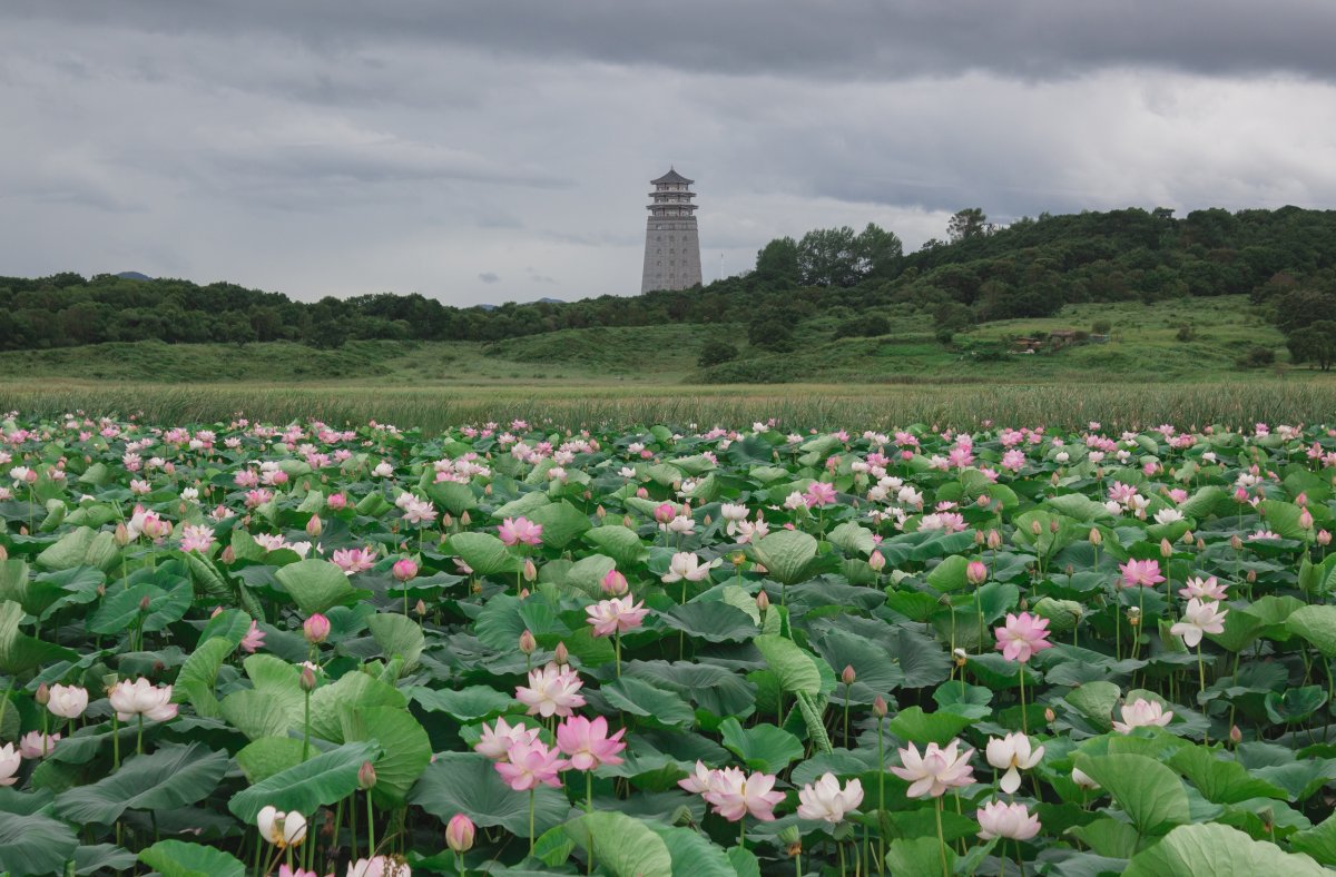 Приморский край Шкотовский район большой камень