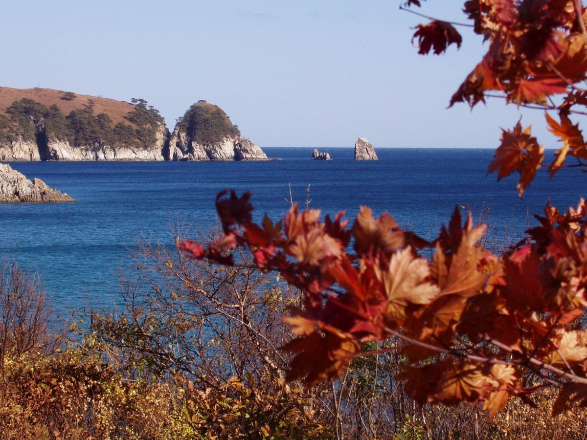 Уссурийск картинки