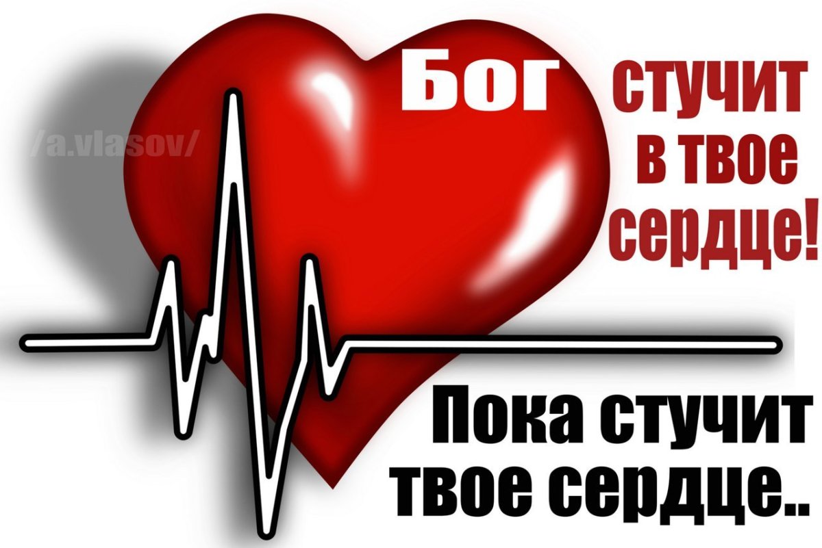 Сердце решает кого любить