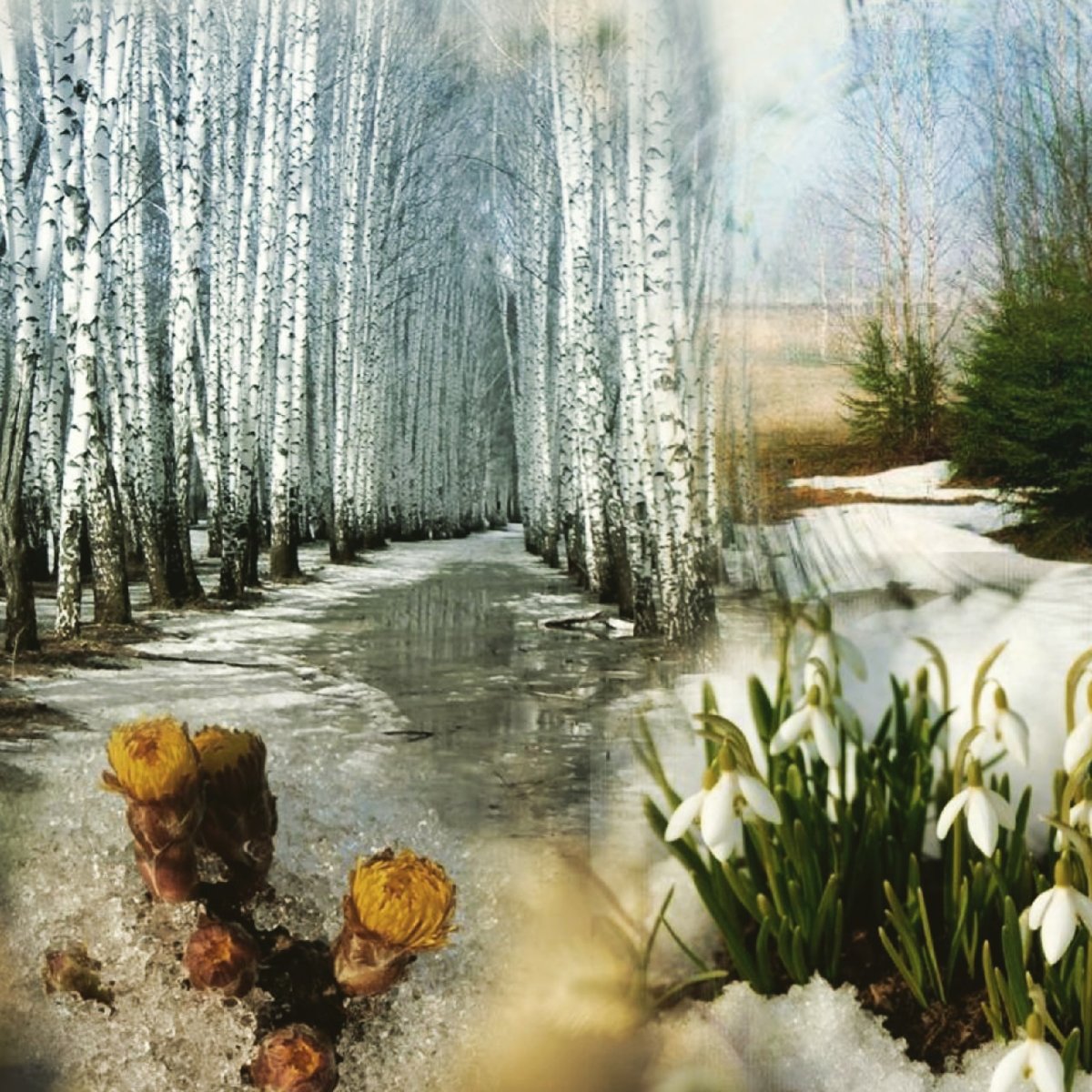 Снежная Королева Александра Токарева