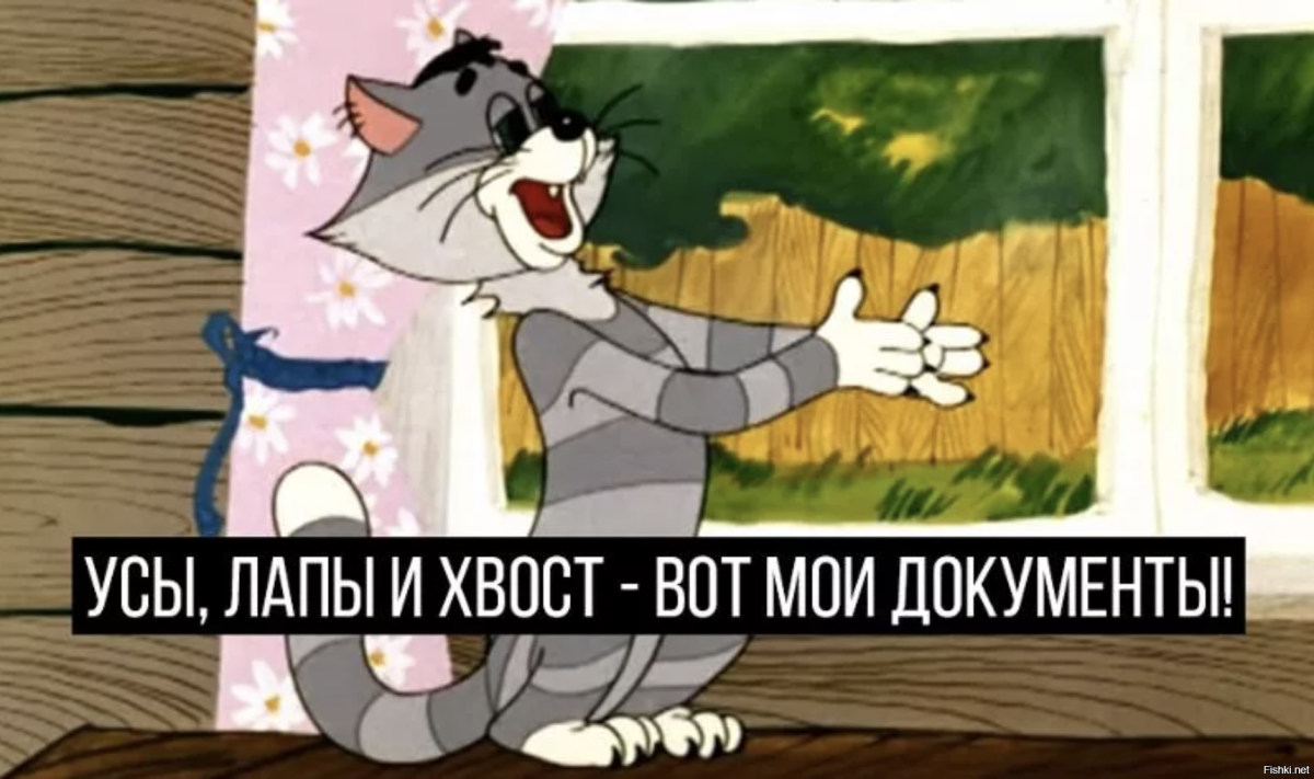 Матроскин с гитарой