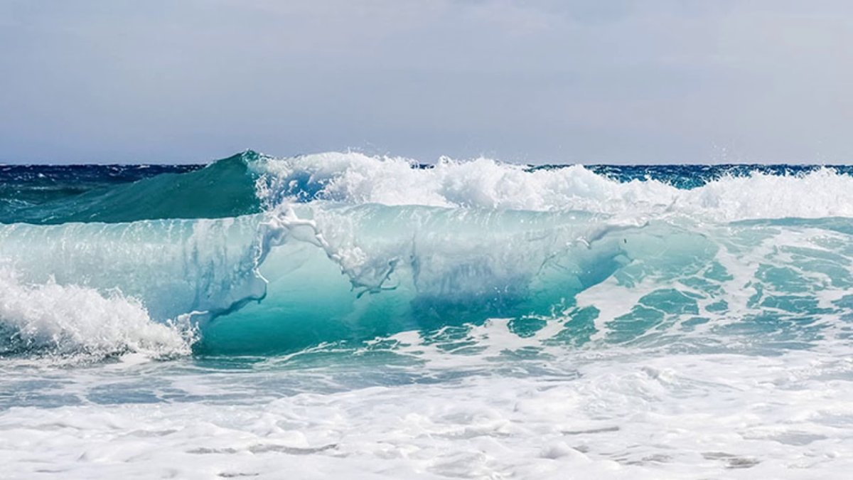 Морской Прибой Сочи