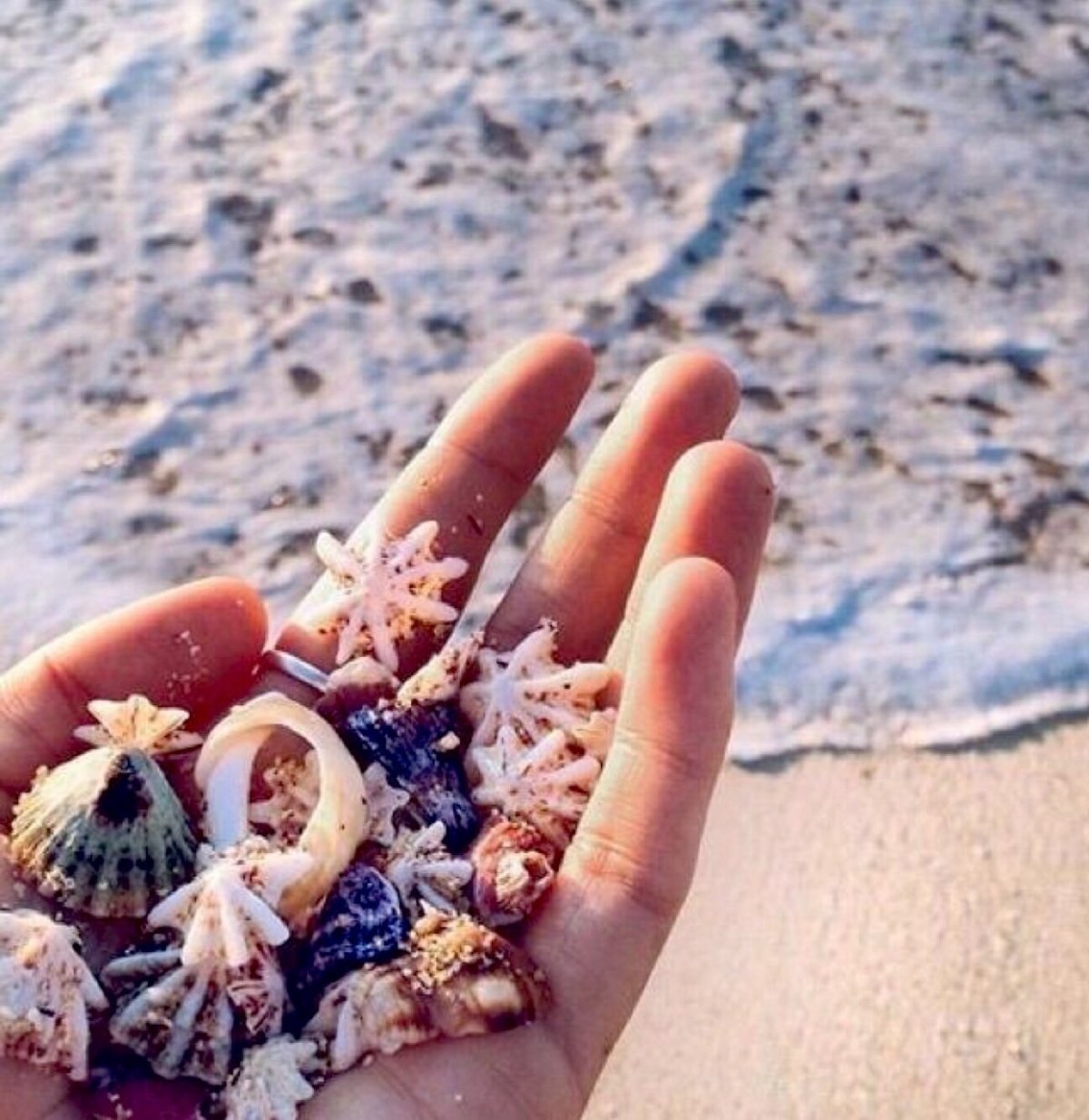 Атлантический океан ЦУНАМИ